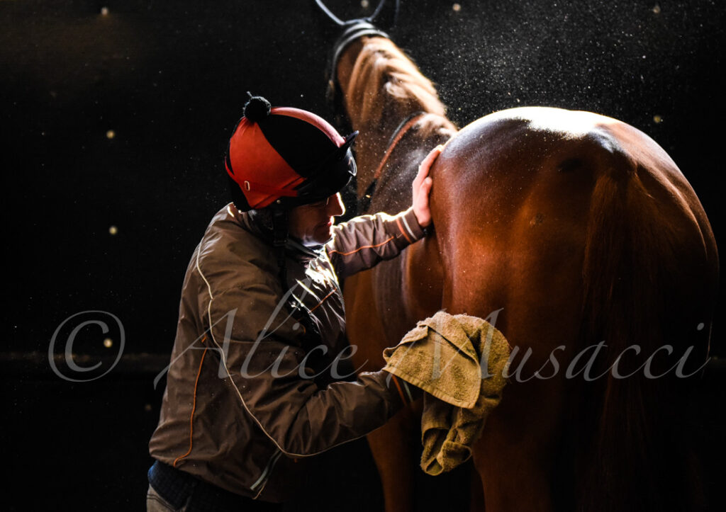 Racehorse-photography